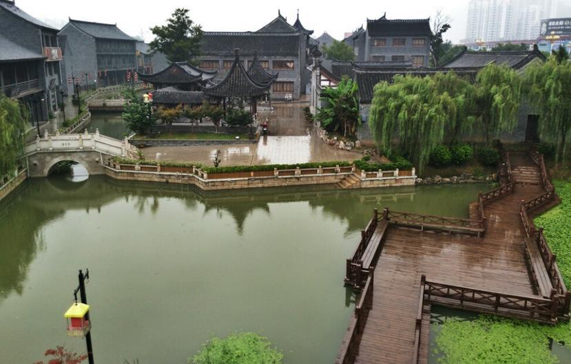 大白猫逃脱